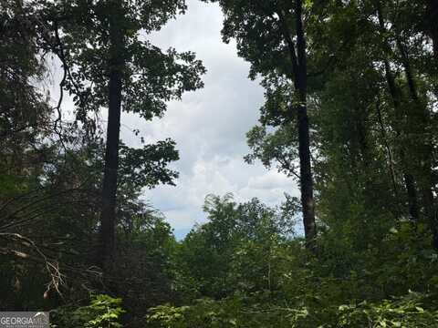 18 Acres S Pineypur Road, Ellijay, GA 30536