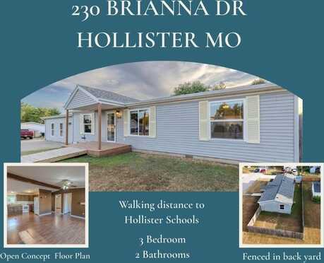 230 Brianna Drive, Hollister, MO 65672