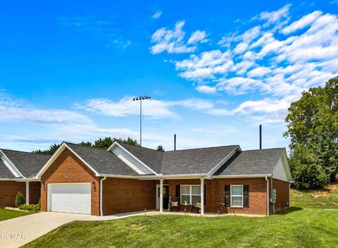 1036 Patriots Landing, Dandridge, TN 37725