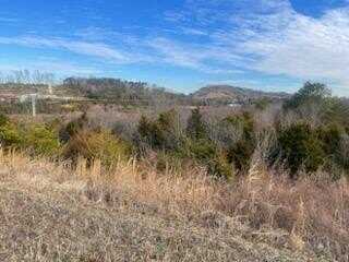 ____ WINFIELD DUNN PKWY MOUNT RD, Sevierville, TN 37764