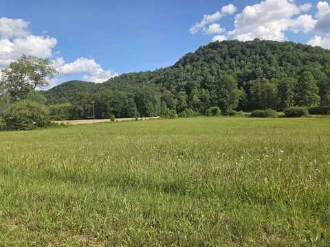000 tar fork Road, Vanceburg, KY 41179
