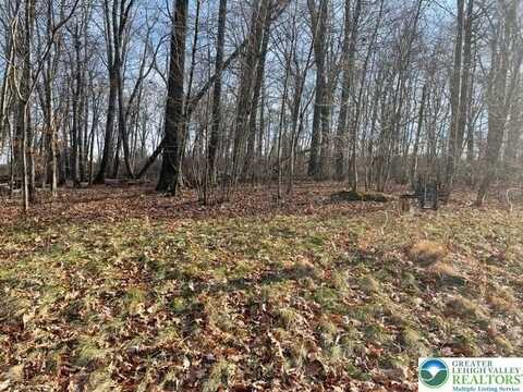 81 Shepherds Hill Drive lot: 9, Mount Bethel, PA 18343