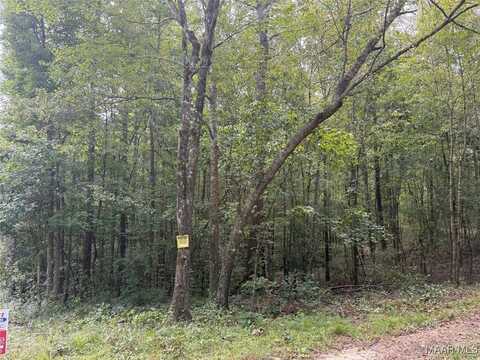 Hunter Loop Road, Marbury, AL 36051
