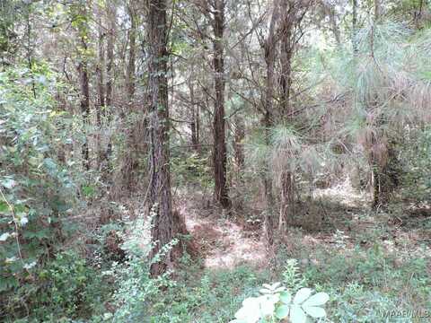 Davenport Road, Greenville, AL 36037