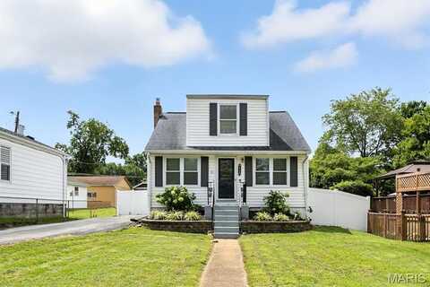 6968 Winona Avenue, Saint Louis, MO 63109