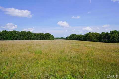 55 Acres Chad Lane, Rhineland, MO 65069