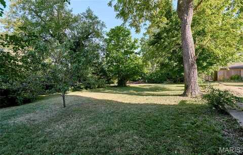 6063 Clemens Avenue, Saint Louis, MO 63112