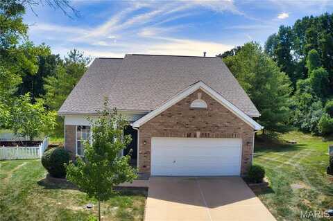 123 Hollow Brook Drive, Florissant, MO 63034