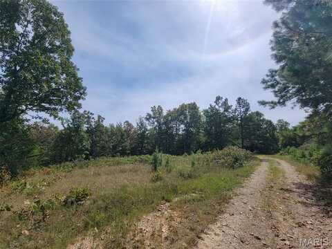 1 0ff Madison 9519, Fredericktown, MO 63645
