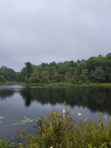 Lot #13-1 Shore Road, Ellsworth, ME 04605