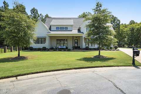 5036 Harlech Castle, Southaven, MS 38671