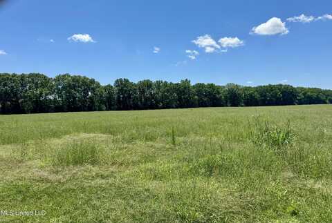 000001 Johnson Line Road, Bolton, MS 39041