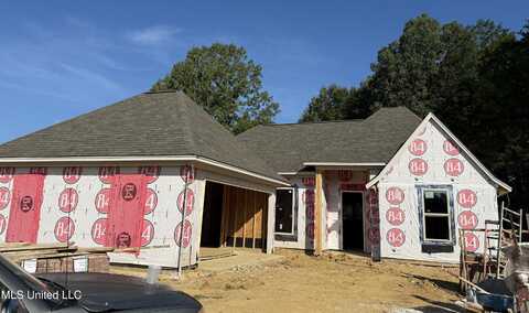 311 Jasmine Cove Lane, Brandon, MS 39042