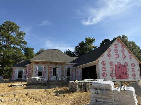 313 Jasmine Cove Lane, Brandon, MS 39042