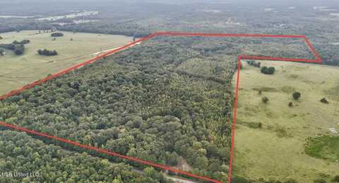 001 Potluck Road Road, Canton, MS 39046