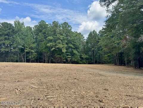 00002 Old Red Star Drive, Wesson, MS 39191