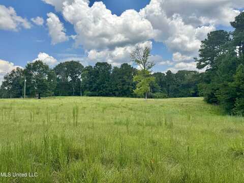 00001 Old Red Star Drive, Wesson, MS 39191