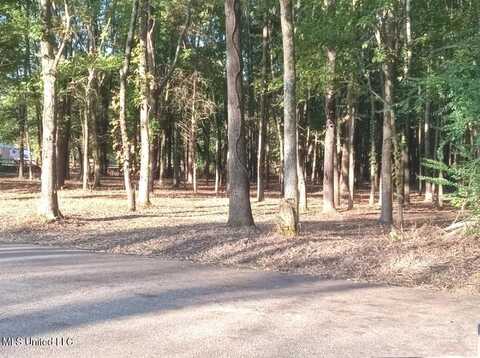 0 Hicks Road, Oakland, TN 38060