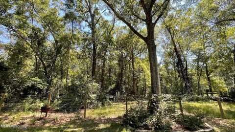 S Swan Road, Gulfport, MS 39503