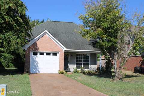 9919 Adina Cove, Olive Branch, MS 38654