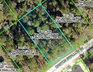 14181 CANYON SWALLOW ROAD, WEEKI WACHEE, FL 34614