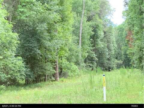 5701 SW 127TH AVENUE, MICANOPY, FL 32667