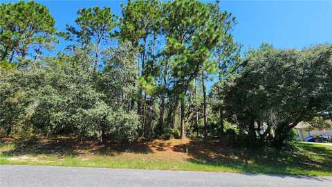 3659 W LAPPULA LANE, CITRUS SPRINGS, FL 34433