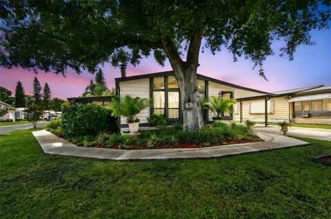9115 OTTER PASS, TAMPA, FL 33626