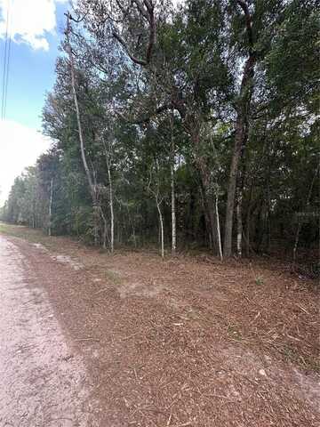 Tbd NE 234TH PLACE, FORT MC COY, FL 32134