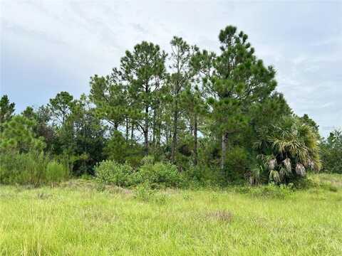 BLACKWOOD CIRCLE, NORTH PORT, FL 34288