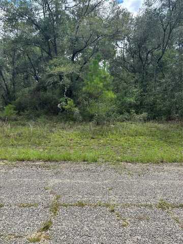 875 E ELSTON PLACE, DUNNELLON, FL 34434