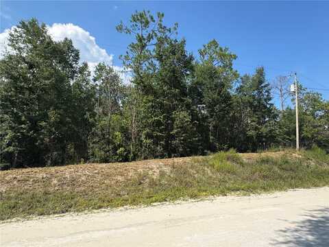 Lot 43 SW KENTUCKY STREET, FORT WHITE, FL 32038