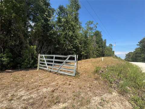 Lot 44 SW KENTUCKY STREET, FORT WHITE, FL 32038