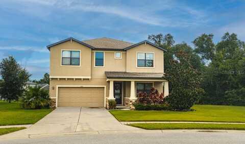 8206 SUMMER BROOK COURT, LAND O LAKES, FL 34638