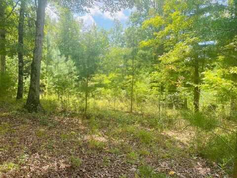Lot 89 River Mountain Rd., MURPHY, NC 28906
