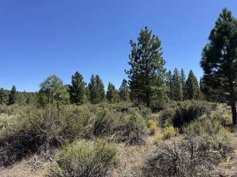 Bufflehead Drive, Bonanza, OR 97623
