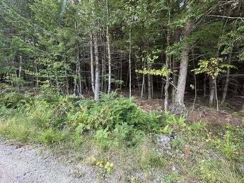 Drewry Lane lot: 5-D, Leeds, ME 04263