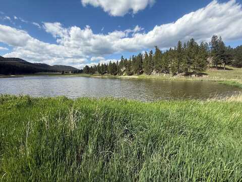 11755 Pleasant Valley Road, Custer, SD 57730