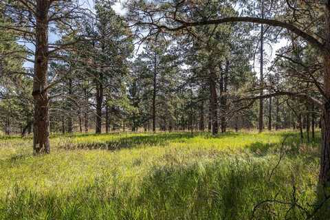 22584 Lightning Ridge Road, Rapid City, SD 57702