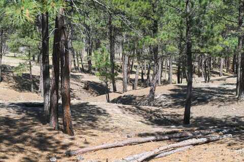 Lot R, Belle Fourche, SD 57717