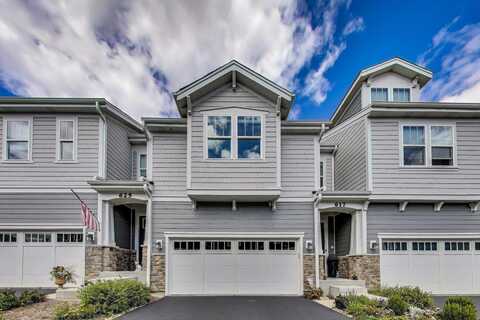617 Riverbank Court, Geneva, IL 60134