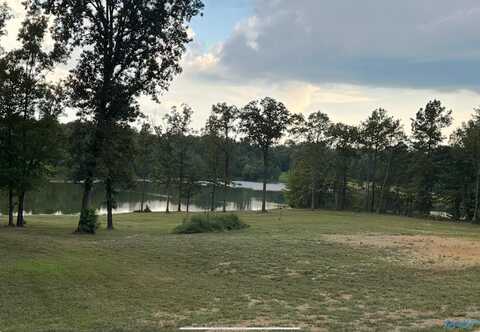 25 Azalea Drive, Centre, AL 35960