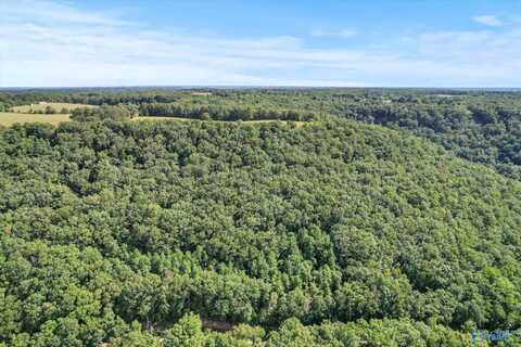 15 Shin Point Road, Grant, AL 35760