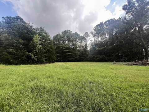99 Bobwhite Drive, Oxford, AL 36203