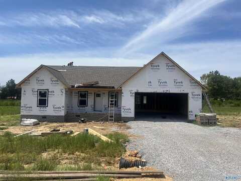 120 Road 9106, Rainsville, AL 35986