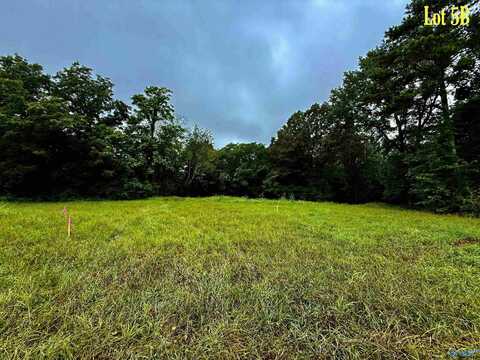 Lot 5b Taylor Road, Elkmont, AL 35620