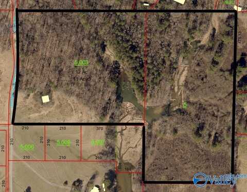 24 Acres County Road 1653, Cullman, AL 35058