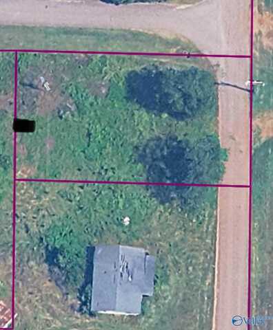 School House School House Drive, Belle Mina, AL 35615