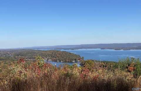Lot 32 Keene Point Drive, Grant, AL 35747