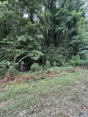 2520 Sweeney Hollow Road, Birmingham, AL 35215